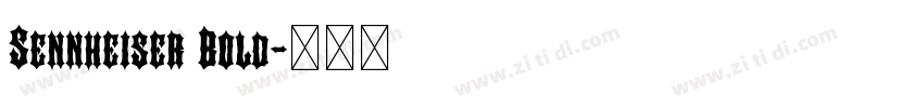 Sennheiser Bold字体转换 Sennheiser Bold字体转换
